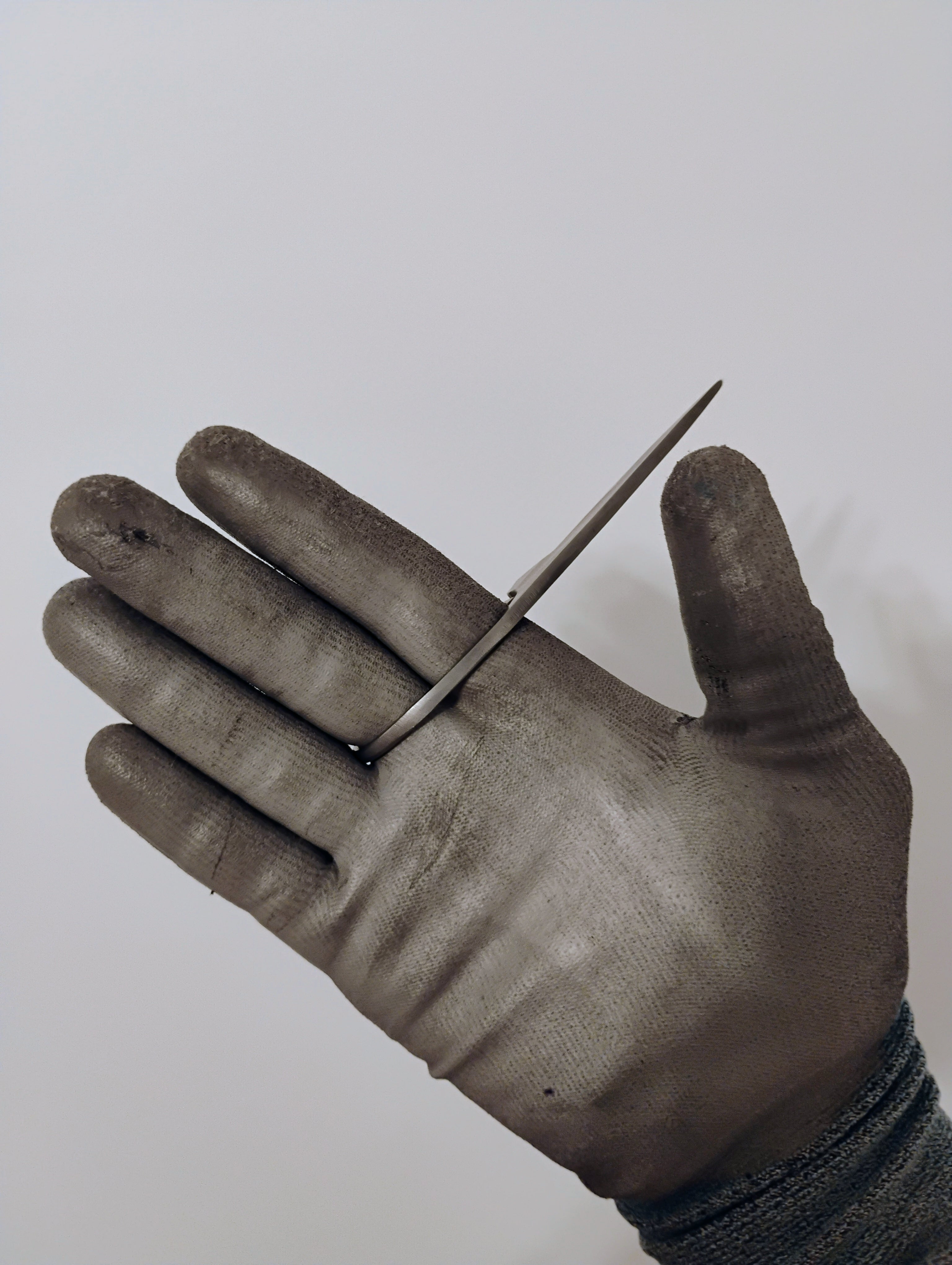 Coon Dog Bird & Trout Knife