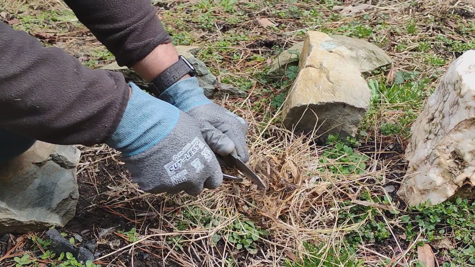 Coon Dog 4 & 1/2" Field/Survival Knife