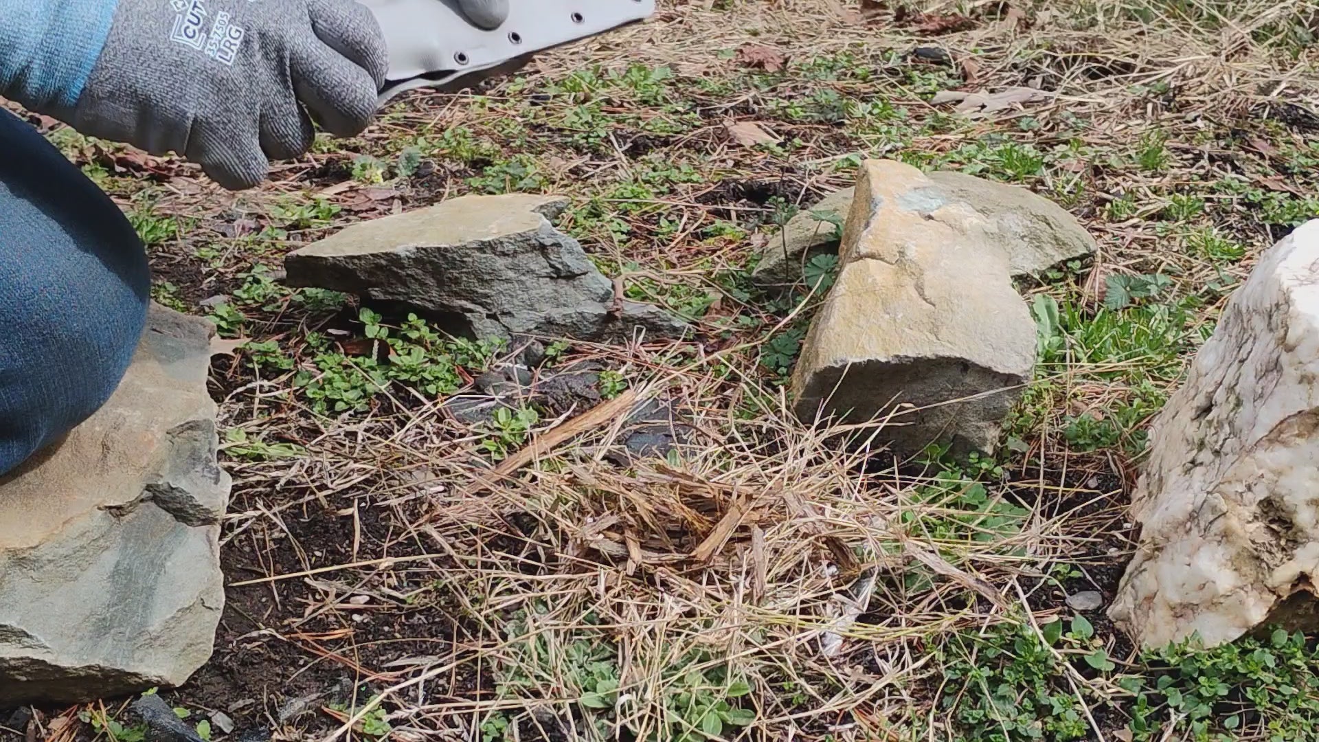 Coon Dog 4 & 1/2" Field/Survival Knife